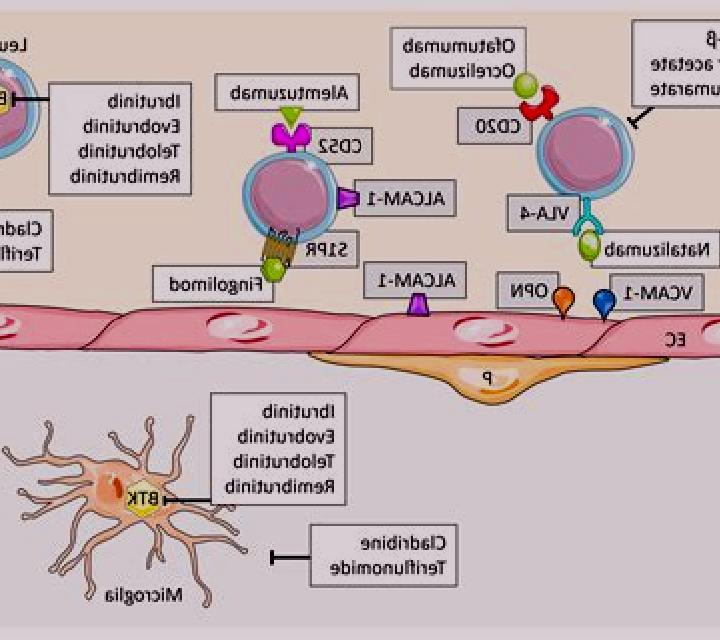 Neurontin neurontin multiple sclerosis medication
