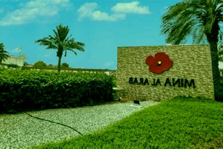 Ozempic (Generic) pills