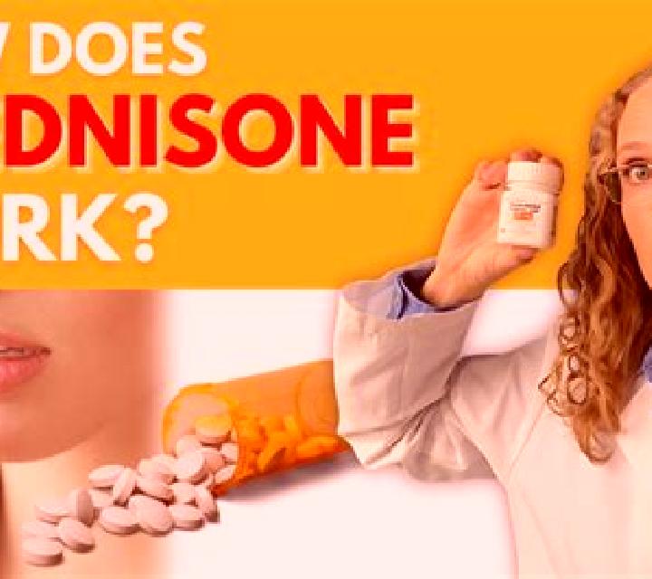 Prednisolone does prednisolone help a cough pills