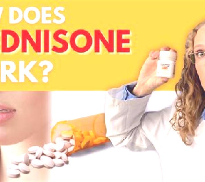 Prednisolone does prednisolone help you work pills