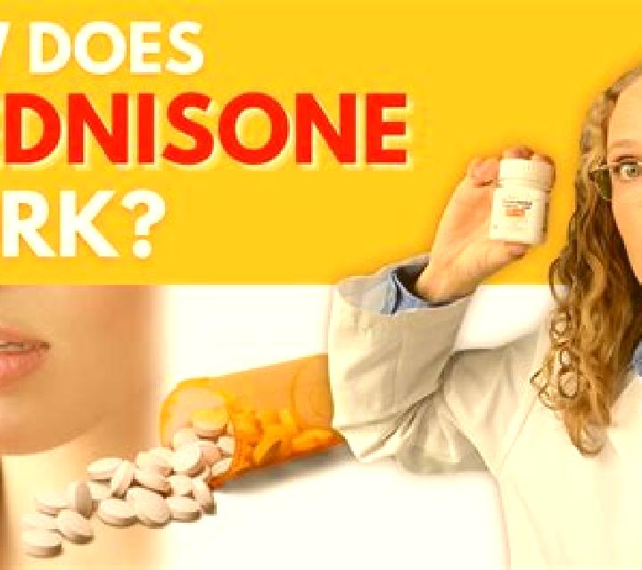 Prednisolone does prednisolone help you work tablet