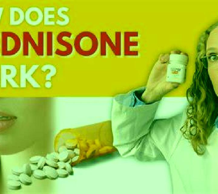 Prednisolone does prednisolone reduce mucus medication