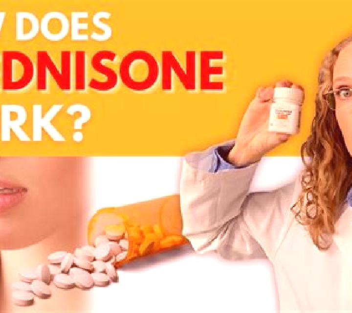Prednisolone does prednisolone reduce mucus pharmacy