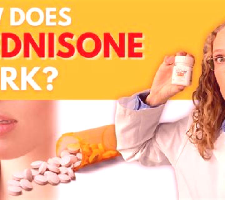 Prednisolone does prednisolone work immediately medication