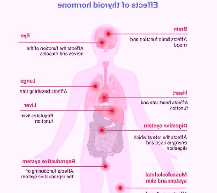 Prednisolone effect of prednisolone on thyroid function tablet