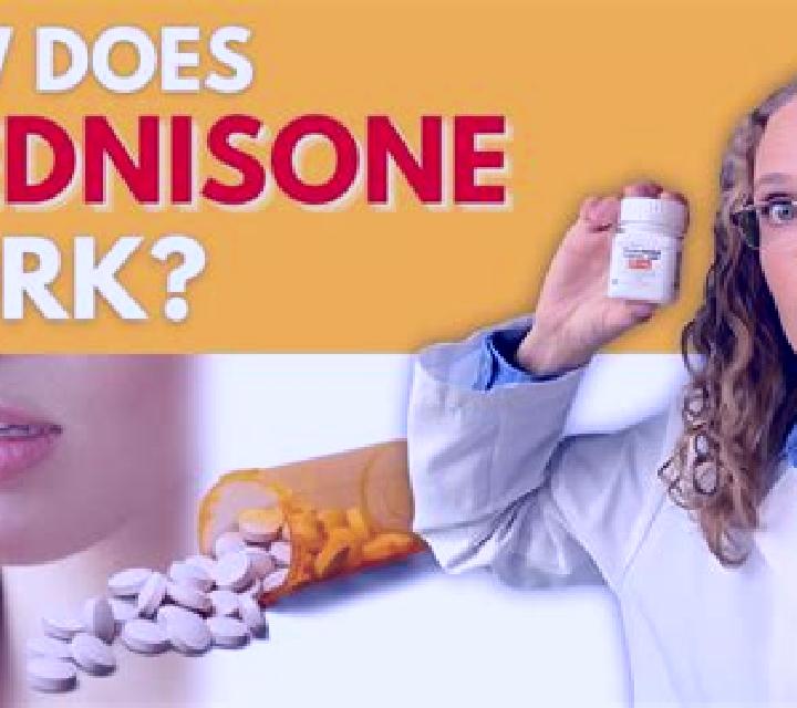 Prednisolone how do prednisolone work medication