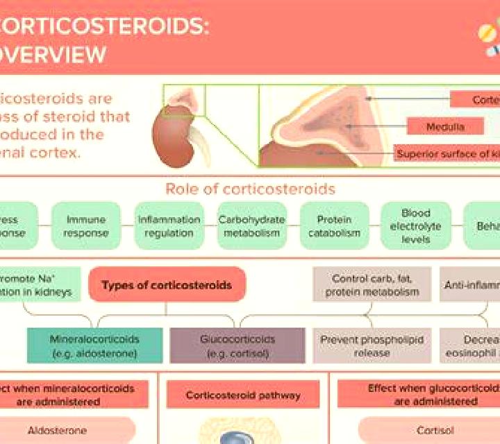 Prednisolone how does prednisolone decrease cortisol production medication