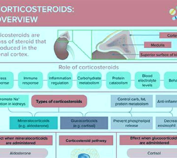 Prednisolone how does prednisolone decrease cortisol production pharmacy