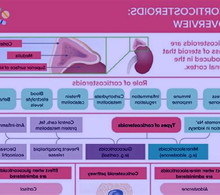 Prednisolone how does prednisolone decrease cortisol production pills