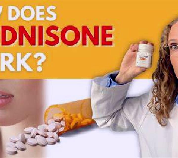 Prednisolone how does prednisolone work medication