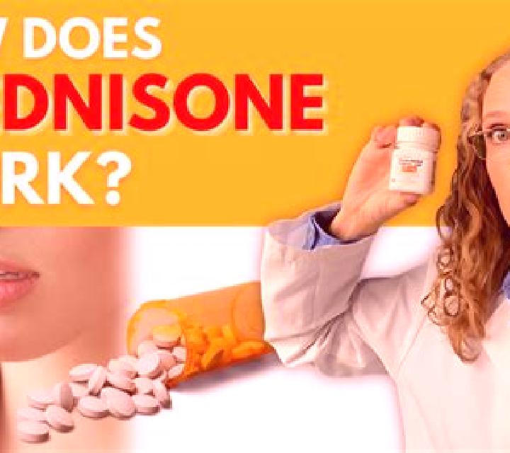 Prednisolone how quickly does prednisolone work pharmacy