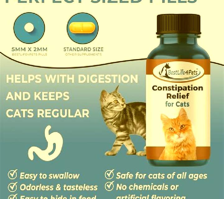 Prednisolone prednisolone cat constipation pills