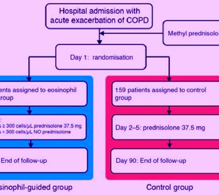 Prednisolone prednisolone exacerbation copd medication