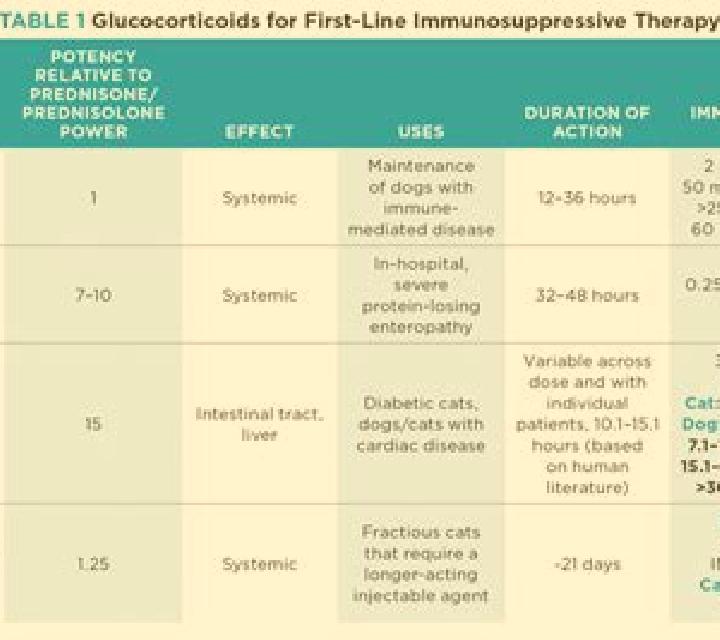 Prednisolone prednisolone immunosuppression dose tablet