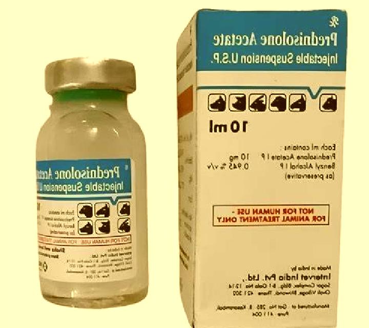 Prednisolone prednisolone injection medication