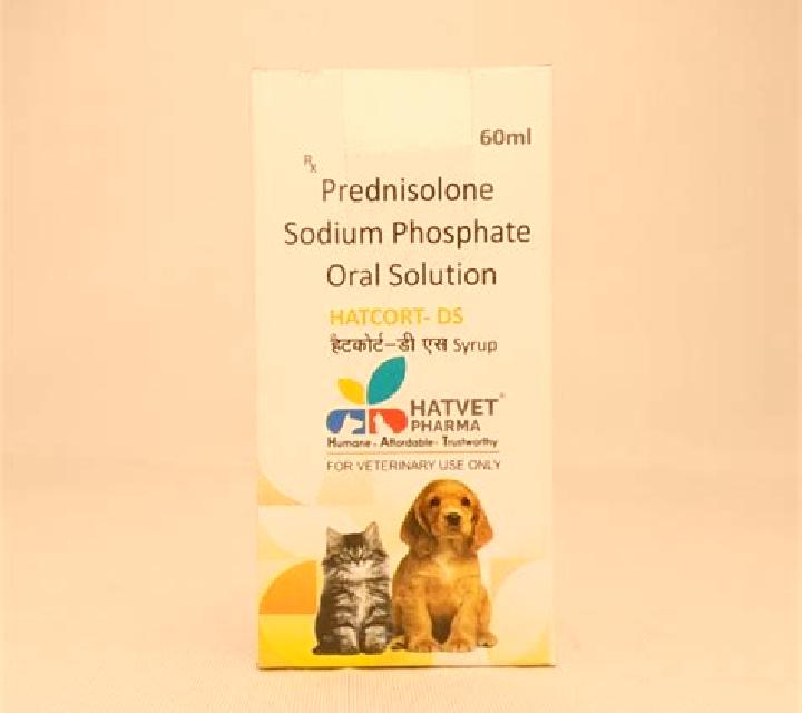 Prednisolone prednisolone solution for cats pharmacy
