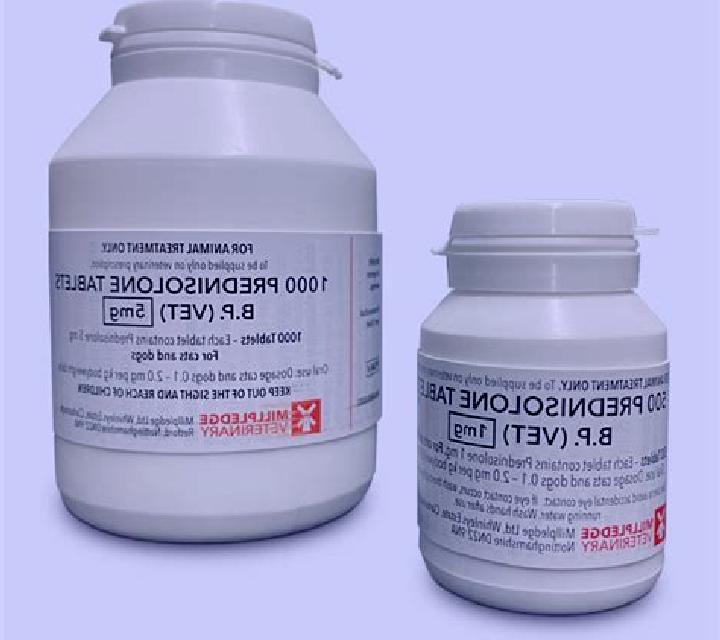 Prednisolone prednisolone veterinary pharmacy