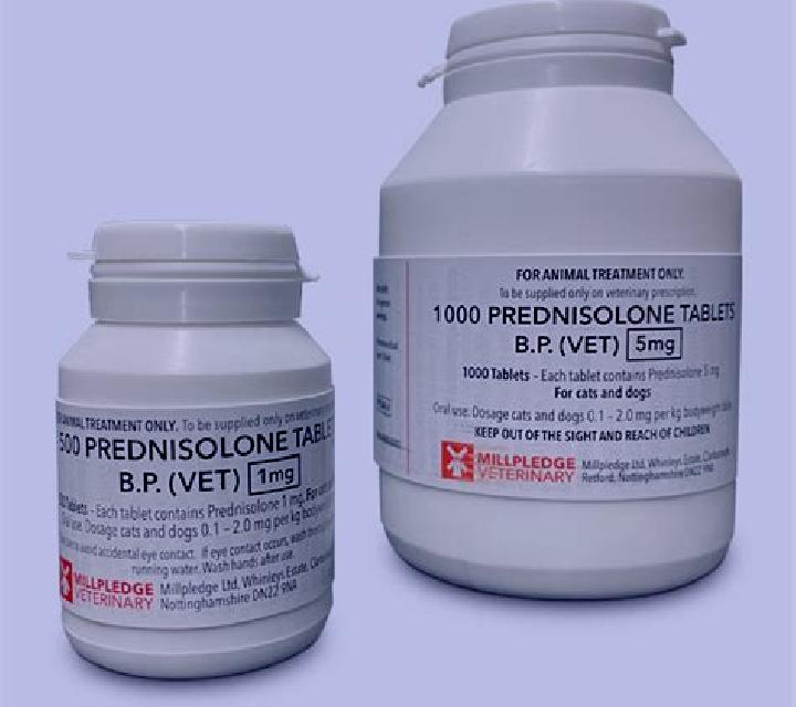 Prednisolone prednisolone veterinary tablet