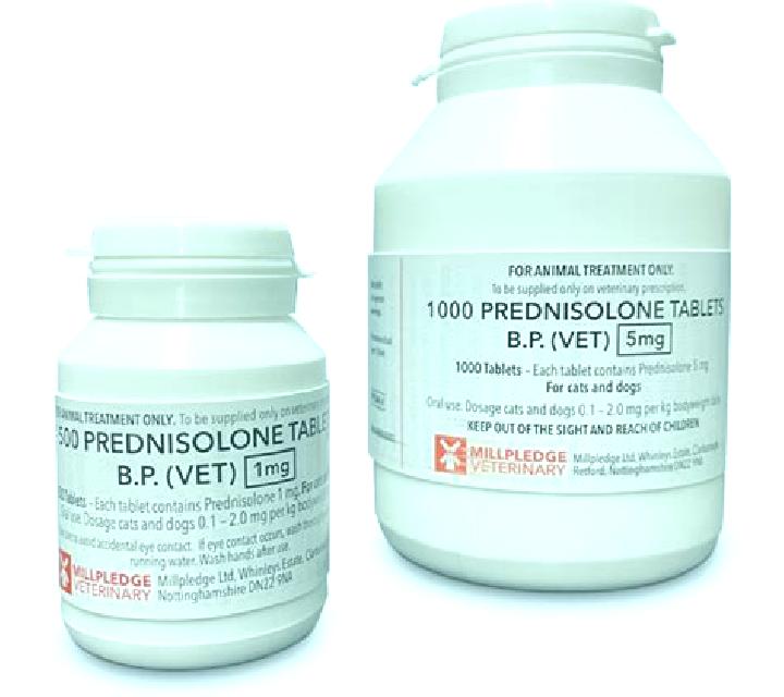 Prednisolone prednisolone veterinary tablets pharmacy