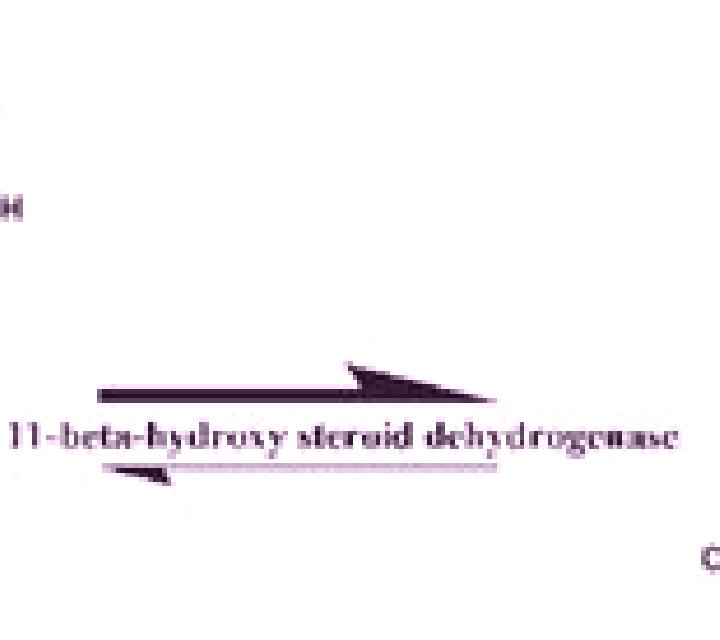 Prednisolone structural difference between prednisone and prednisolone pills
