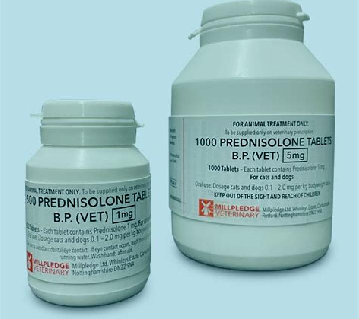 Prednisolone veterinary prednisolone tablet