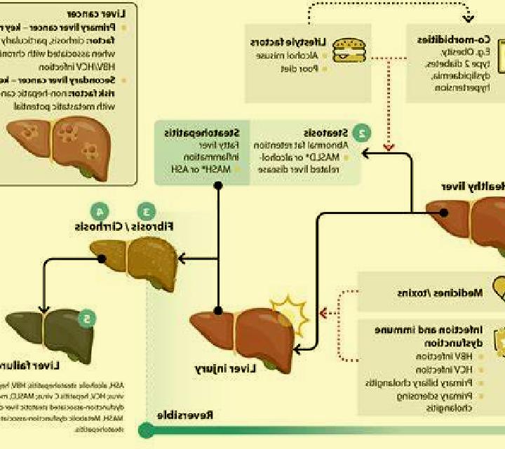 Propecia propecia and liver function pills