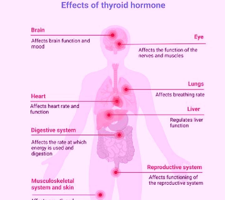 Propecia propecia effect on thyroid pills