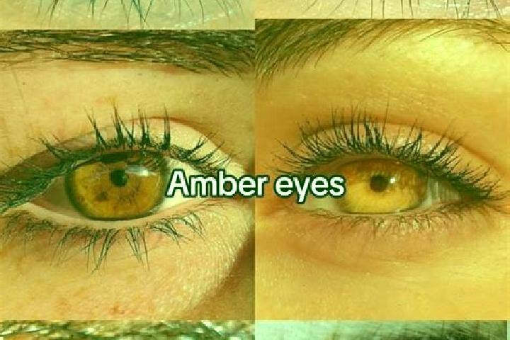 Propecia propecia testosterone cycle pharmacy