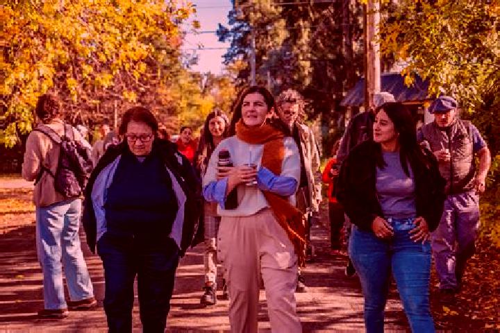 Provigil ffg provigil settlement tablet