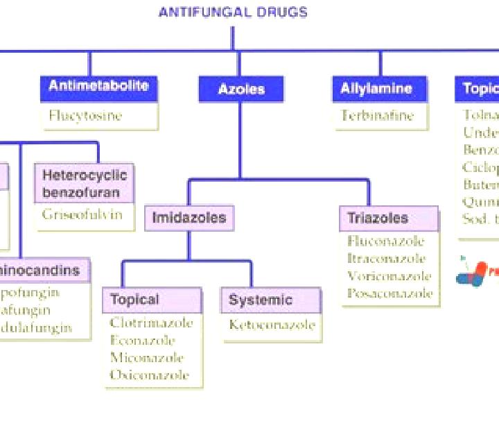Provigil provigil drug classification pharmacy