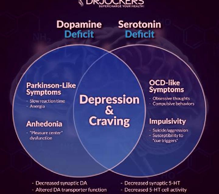Provigil provigil effects on dopamine tablet