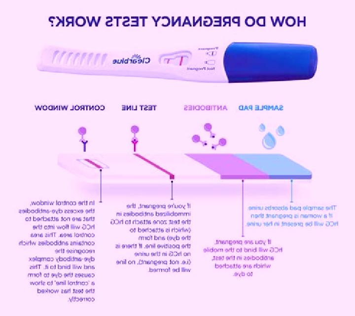 Provigil provigil pregnancy class pharmacy