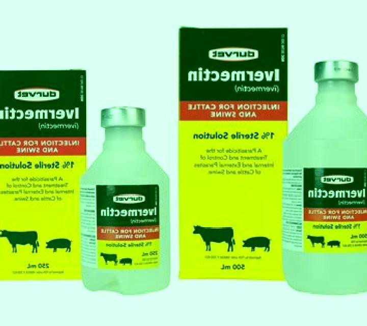 Stromectol is stromectol safe for chickens medication