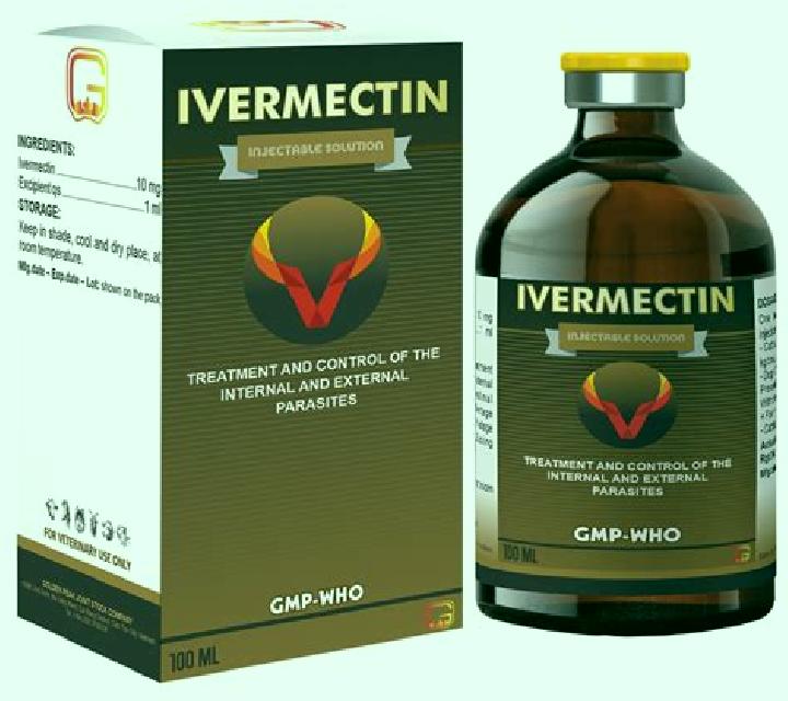 Stromectol pet store ivermectin stromectol medication