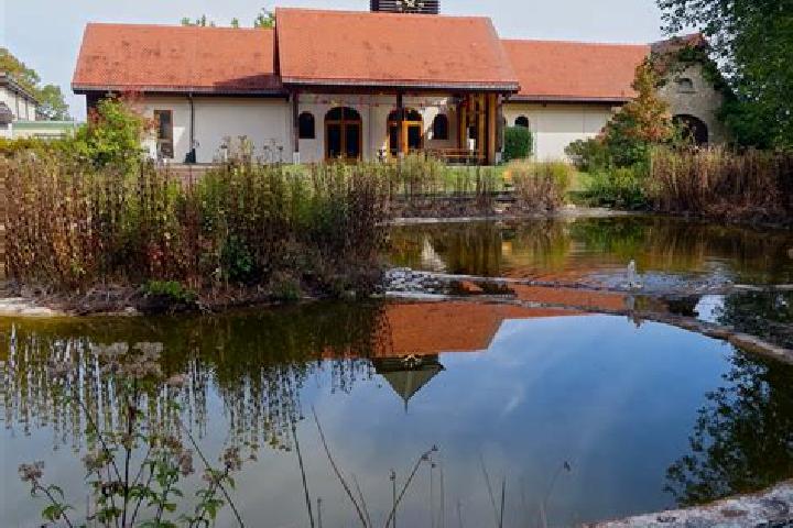Stromectol stromectol buy online australia medication