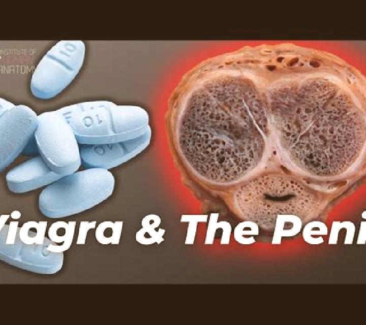 Viagra does viagra kill your sperm count tablet