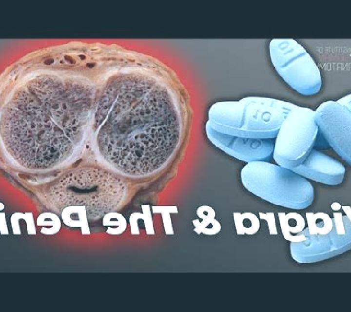 Viagra viagra erection vs normal erection tablet